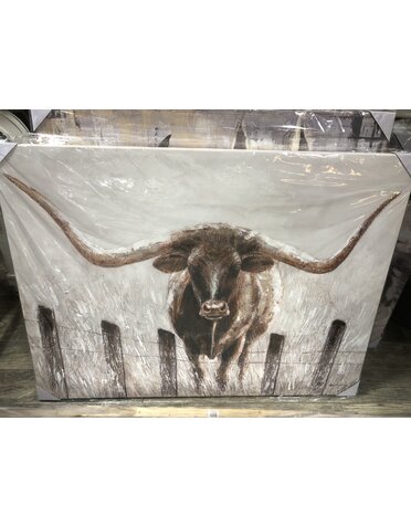 Longhorn in fence Canvas  38x46