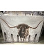 Longhorn in fence Canvas  38x46