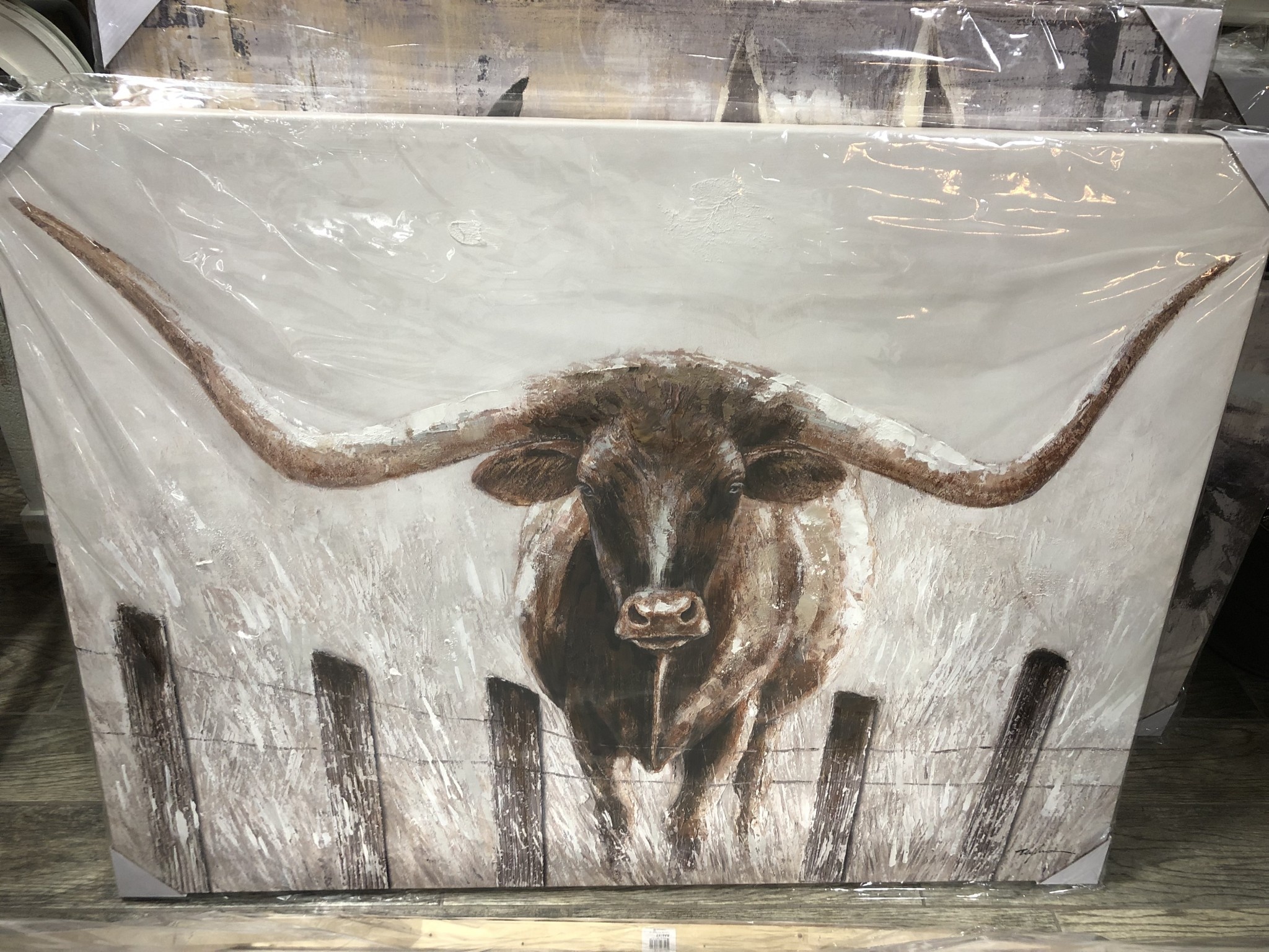 Longhorn in fence Canvas  38x46