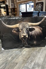 Longhorn Black Canvas
