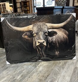 Longhorn Black Canvas