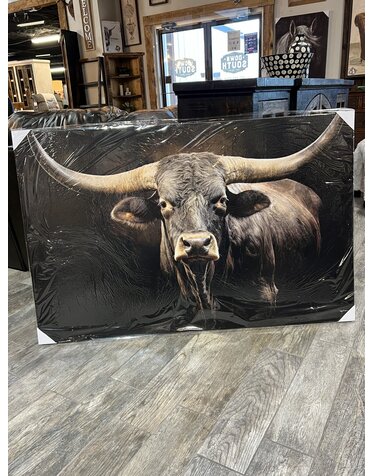 Longhorn Black Canvas