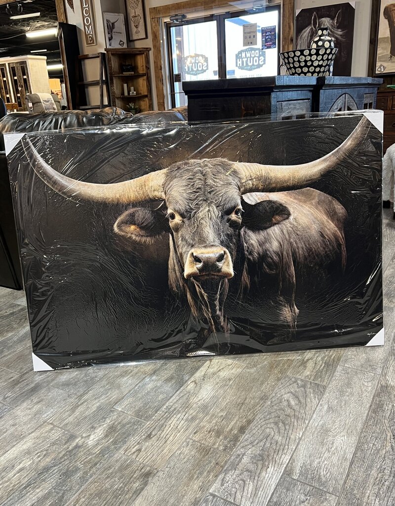 Longhorn Black Canvas