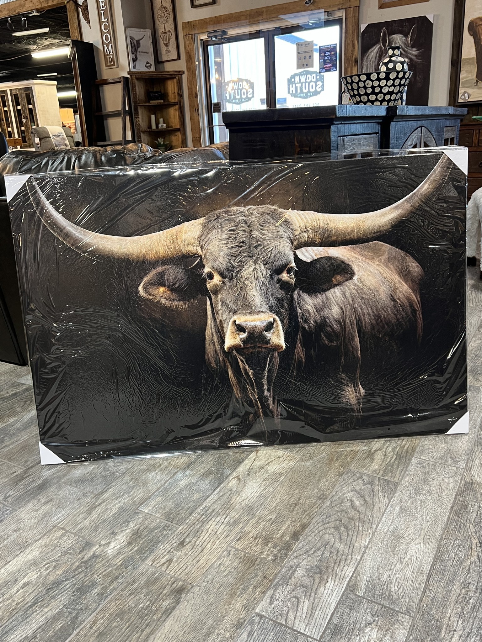 Longhorn Black Canvas