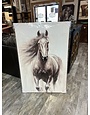Running Horse Canvas