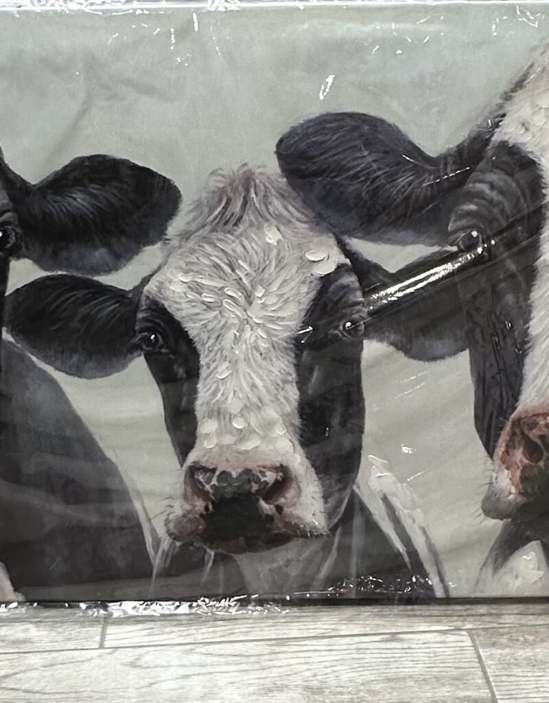 Triple Cow Canvas