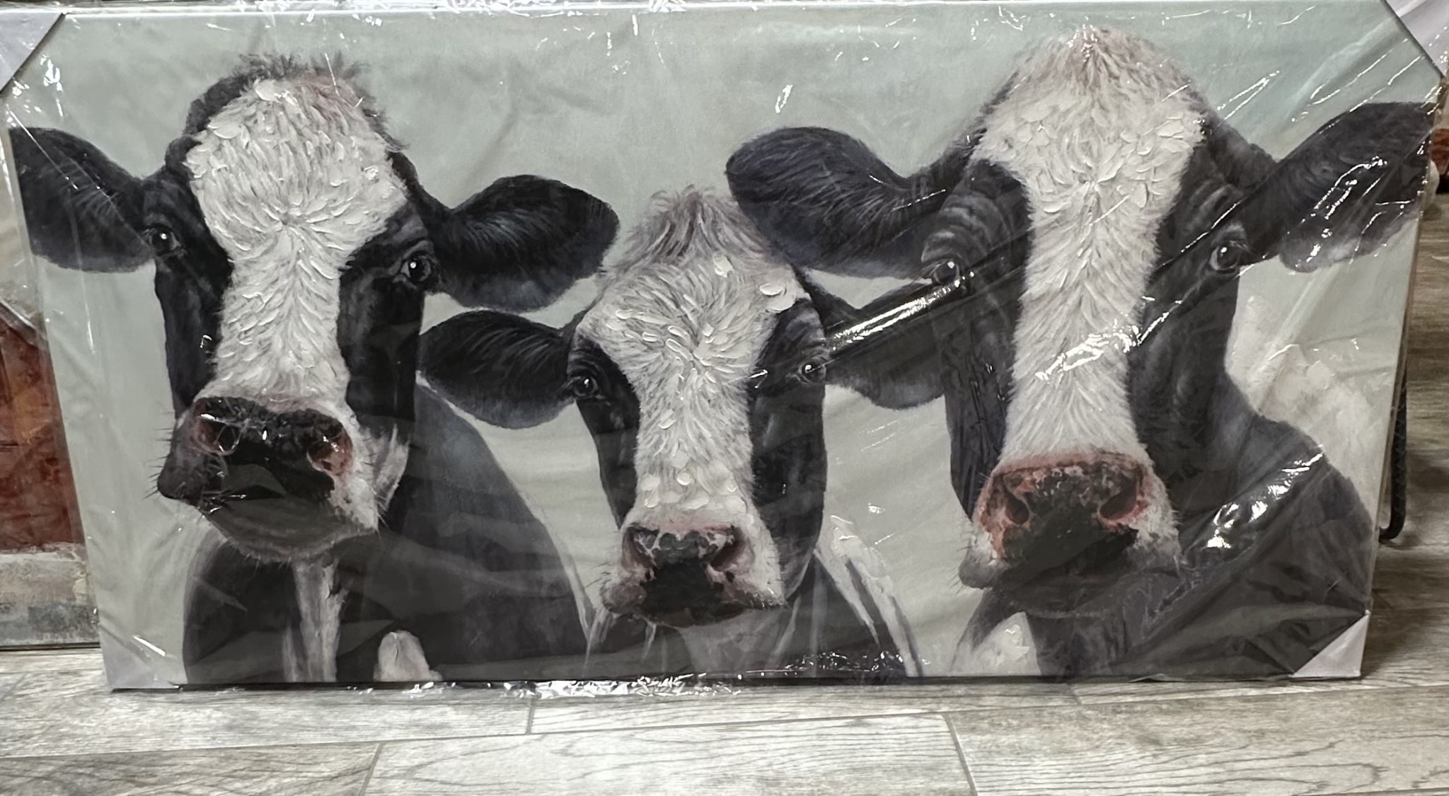 Triple Cow Canvas
