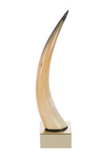 Luxe Horn Tusk Object