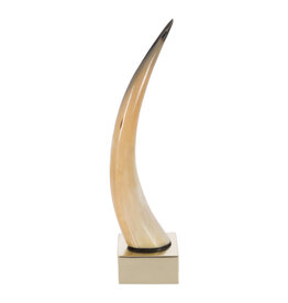 Luxe Horn Tusk Object