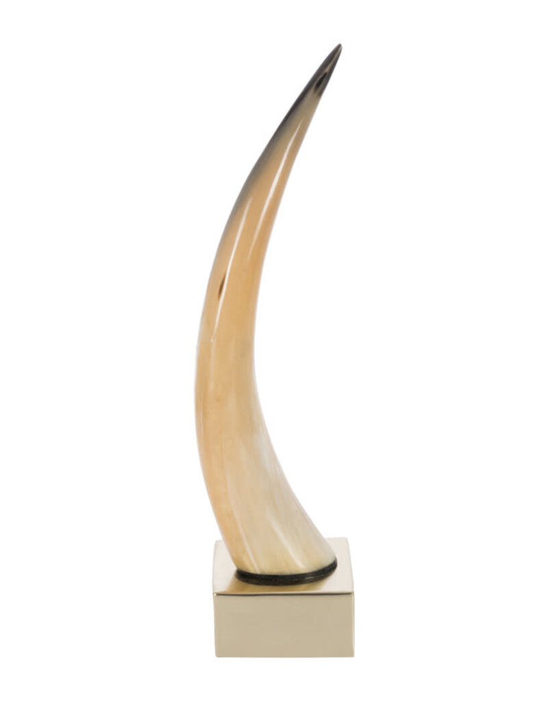 Luxe Horn Tusk Object