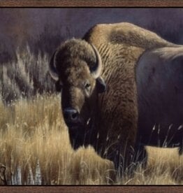 Bison and Magpies 16X32
