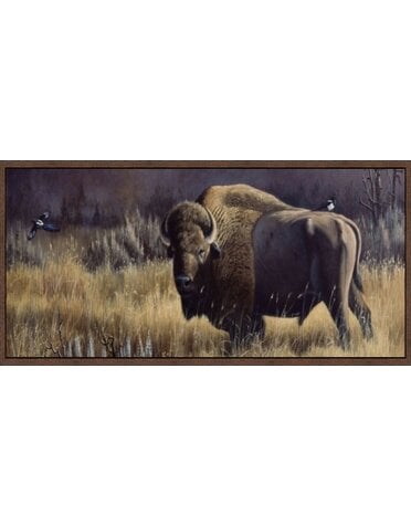 Bison and Magpies 16X32