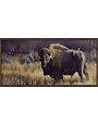 Bison and Magpies 16X32