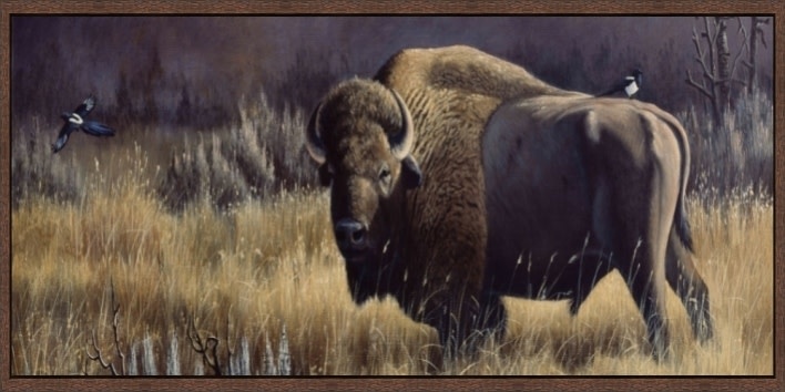Bison and Magpies 16X32