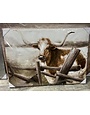 Spotted Longhorn Side Fence Canvas