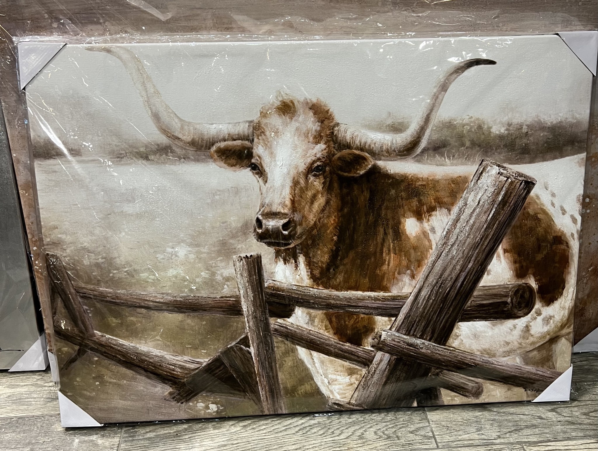 Spotted Longhorn Side Fence Canvas