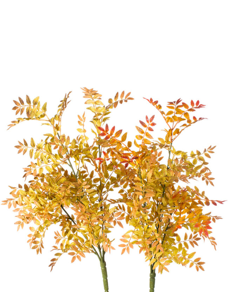 Honey Stem