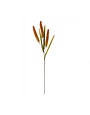 30" Orange Rice Spray