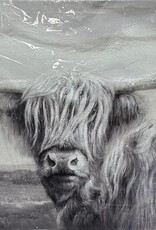 Long Haired Longhorn BW C