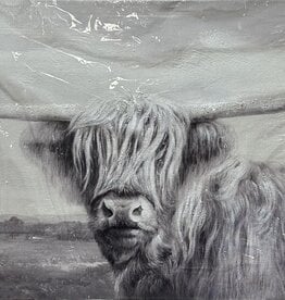 Long Haired Longhorn BW C