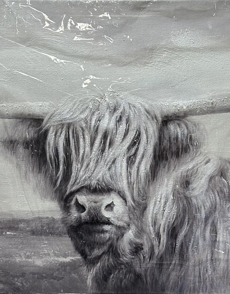 Long Haired Longhorn BW C
