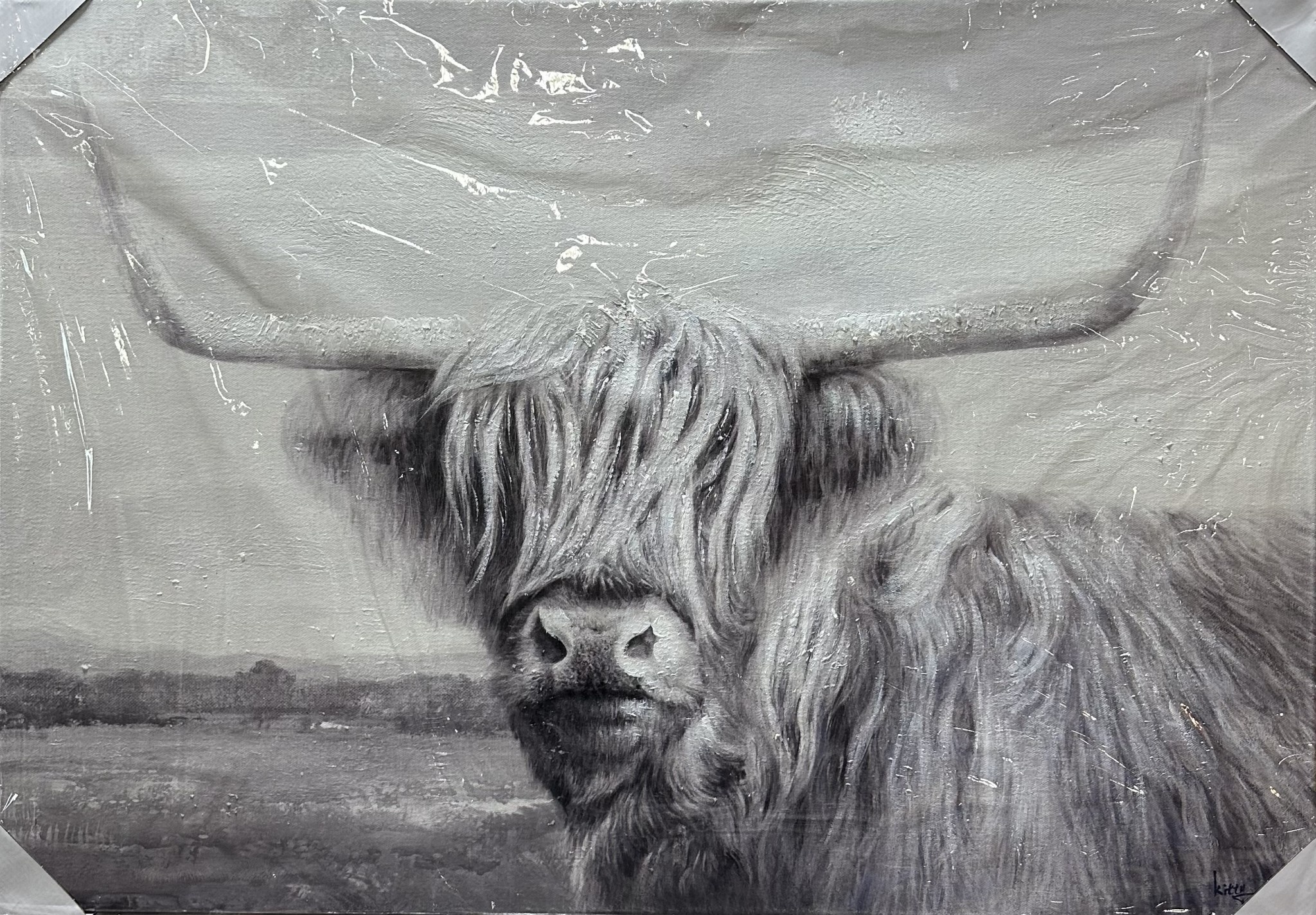Long Haired Longhorn BW C