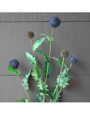 Globe Thistle Stem