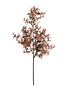 30 Inch Fall Japanese Maple Stem