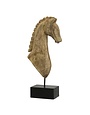 Horse Bust in Mango Wood