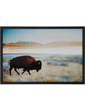Where the Buffalo Roam Framed Art (38" x 26")
