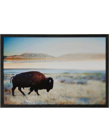 Where the Buffalo Roam Framed Art (38" x 26")