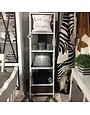 Ladder Bookcase