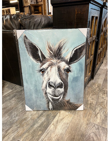 Retro Donkey Canvas