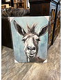 Retro Donkey Canvas