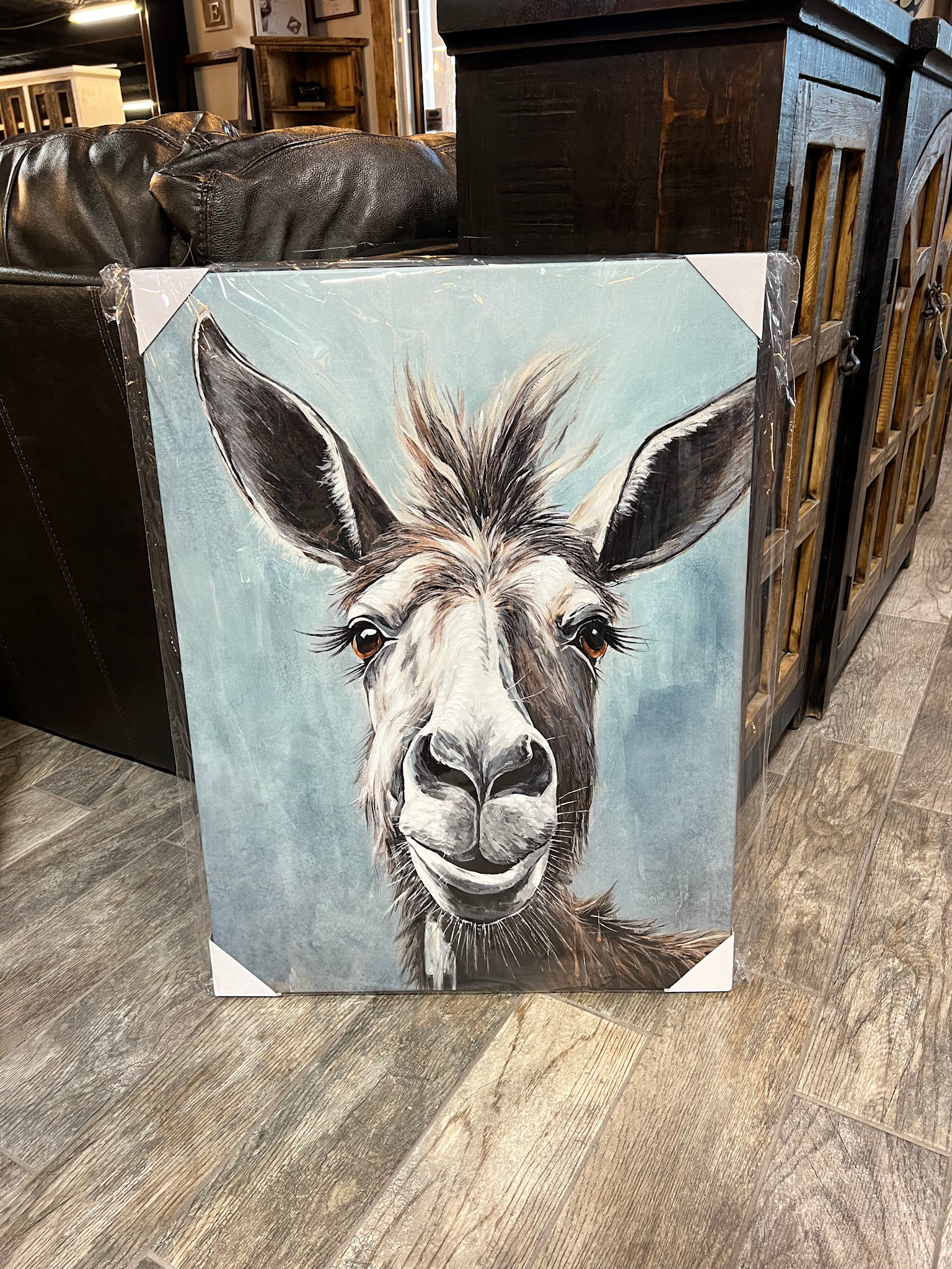 Retro Donkey Canvas
