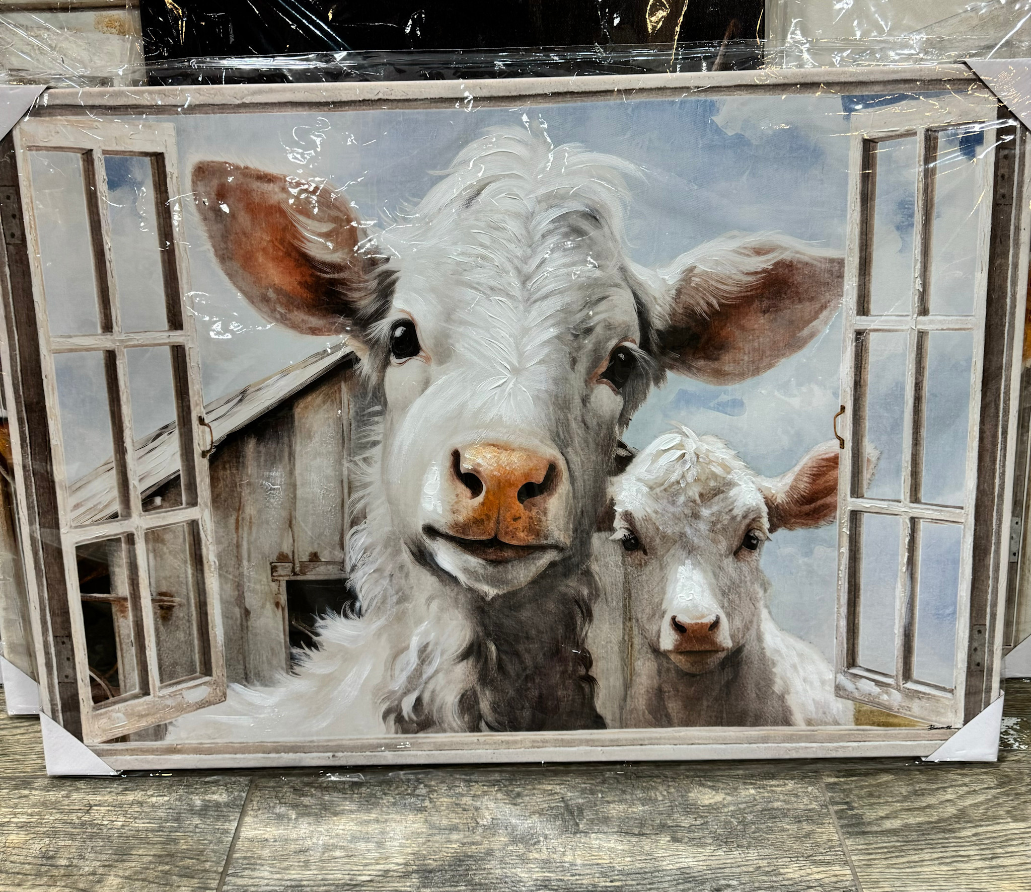 Cows by Window Canvas