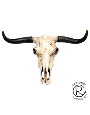 Longhorn Skull Wall Plaque