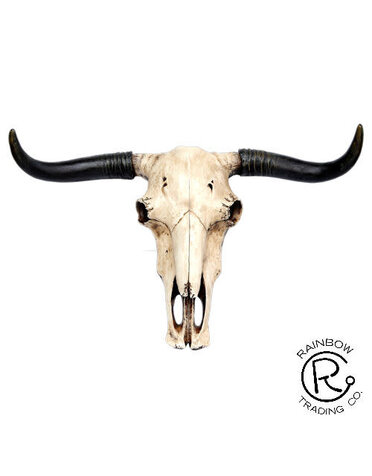 Longhorn Skull Wall Plaque