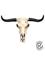 Longhorn Skull Wall Plaque