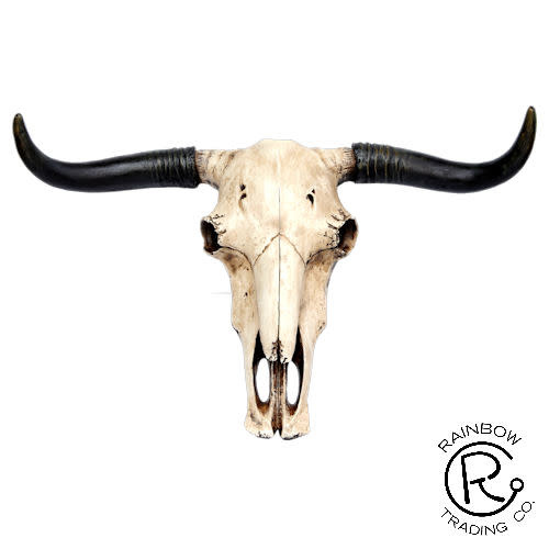 Longhorn Skull Wall Plaque