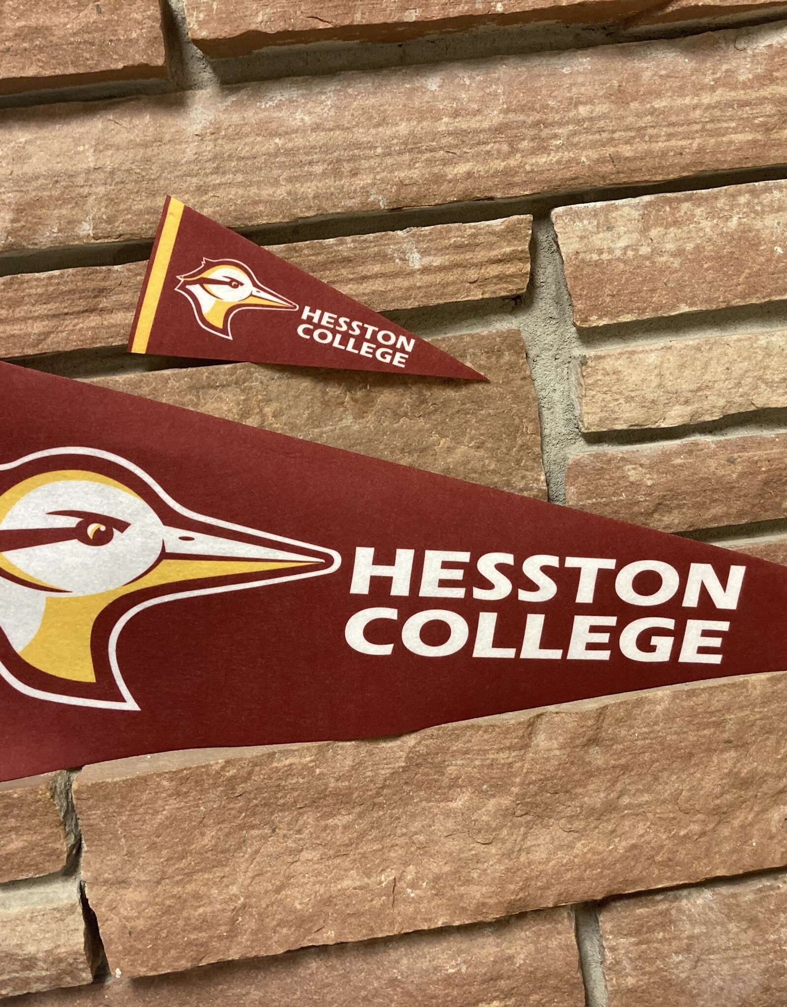 4 by 9 Stiff Pennant
