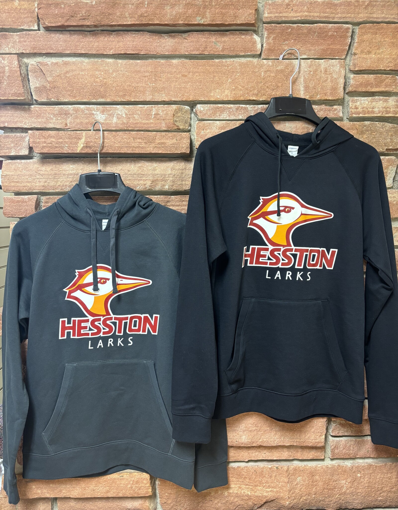 HC Lark Hoodie 22/23