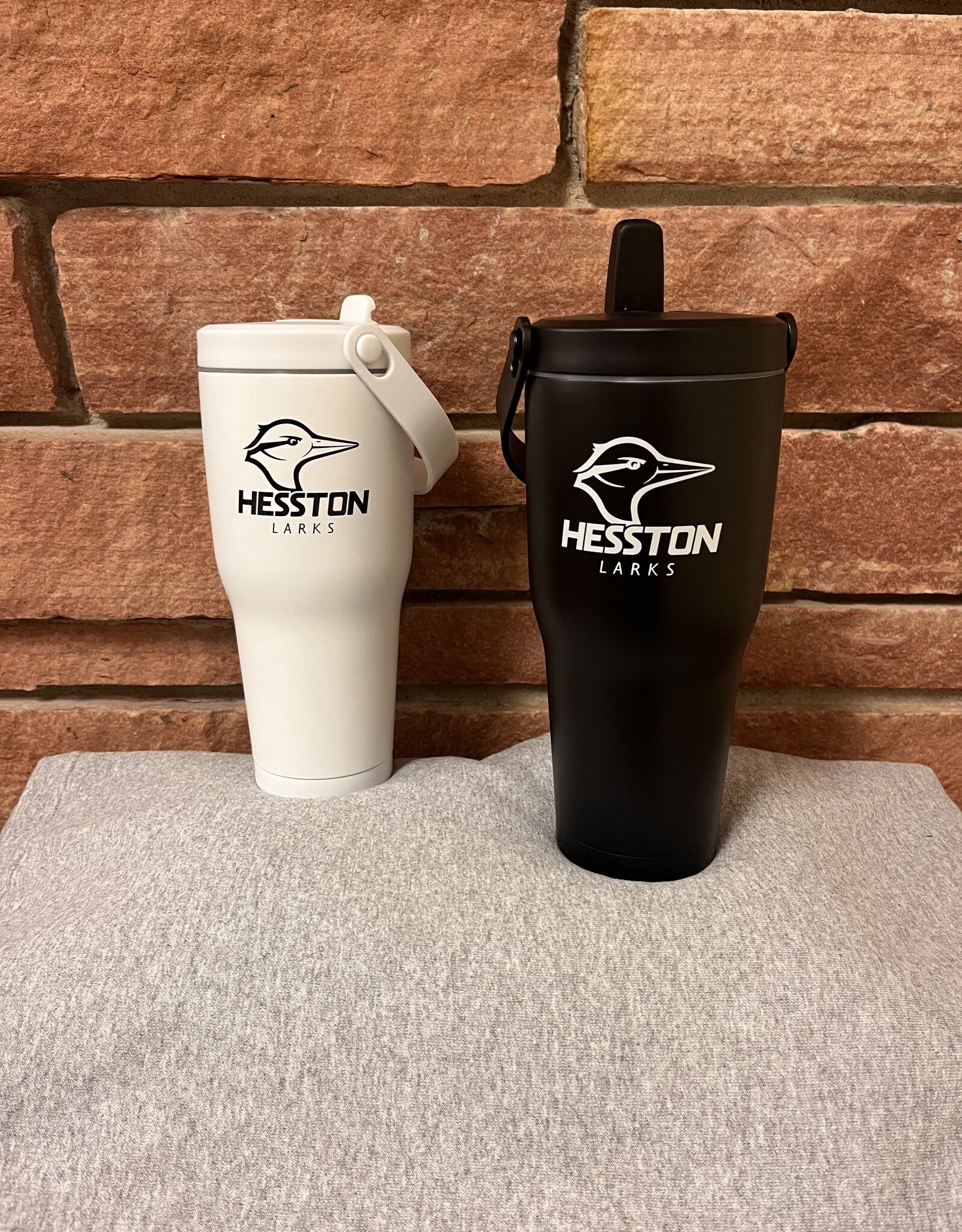 Viking Nova Tumbler w/ Handle-30 oz.