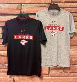 Nike T-shirt 2021 SS Nike Dri-Fit