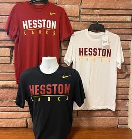 Nike Nike Dri Fit Cotton Tee