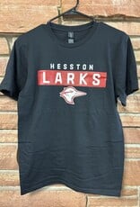 Hesston Larks Box