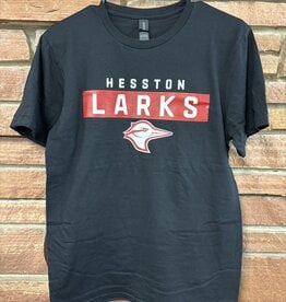Hesston Larks Box