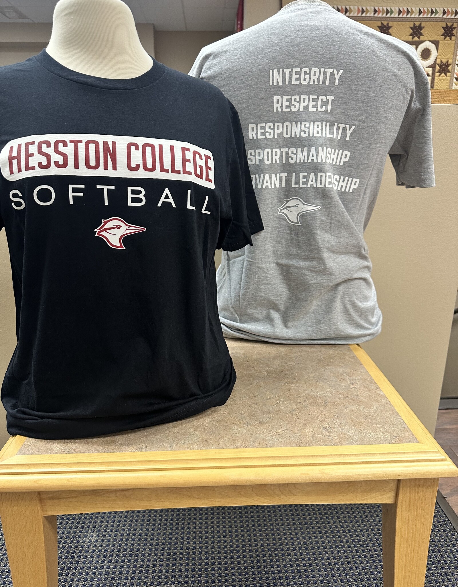 Bella Canvas Softball T-shirts