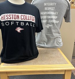Bella Canvas Softball T-shirts