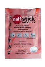 SALT S SaltStick Fast Chew 10 Count